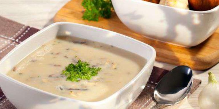 Суп-пюре из свежих грибов - рецепт приготовления с фото от Maggi.ru
